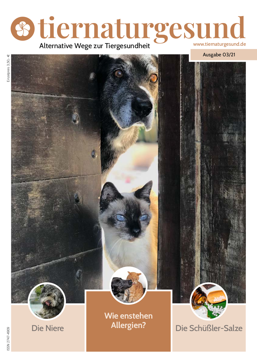 tiernaturgesund_magazin_03_2021_mit links 1