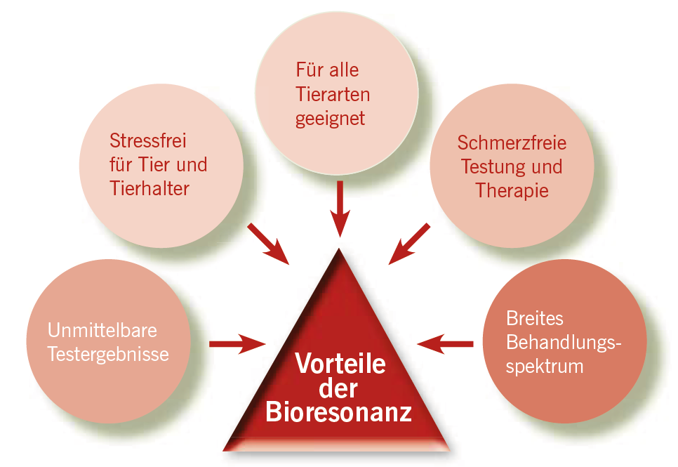 Vorteile der Bioresonanz