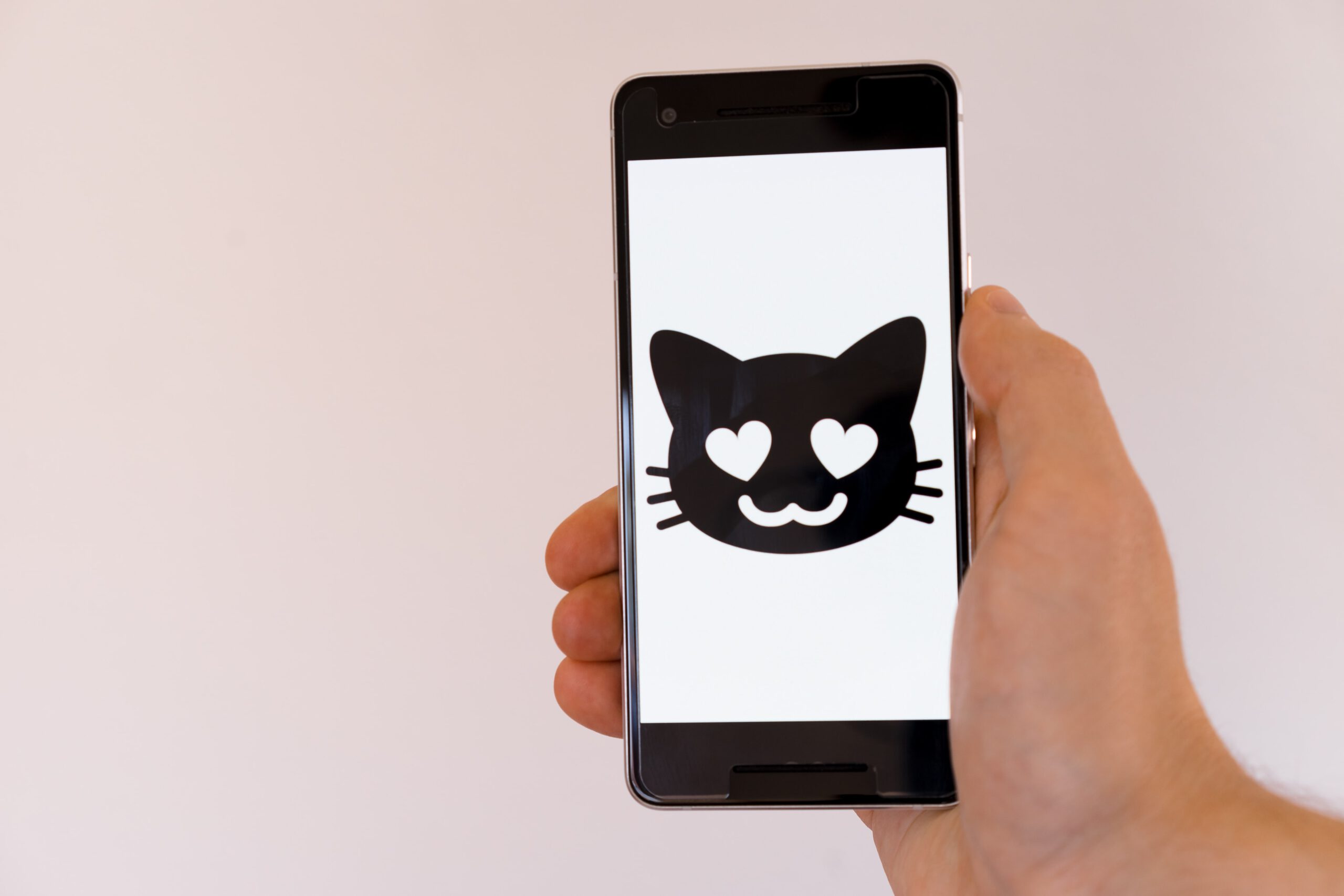 Akute Schmerzen bei der Katze erkennen – ganz einfach per App!