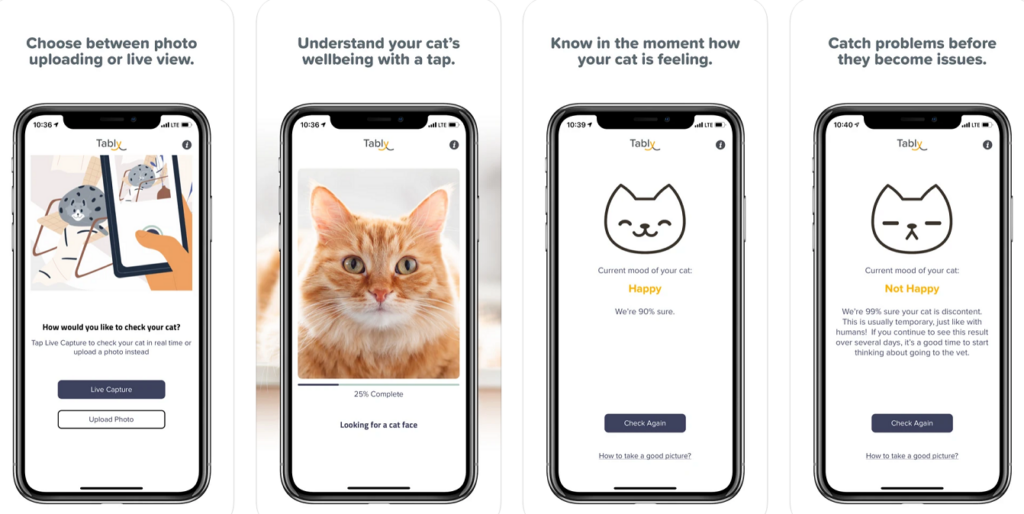 Die App Tably zeigt Schmerzen und Stimmungen bei Katzen