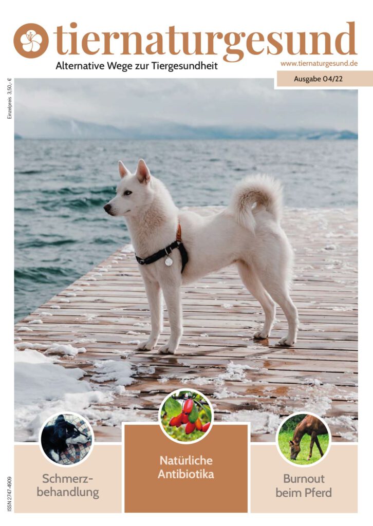 Cover Aushabe 04/22