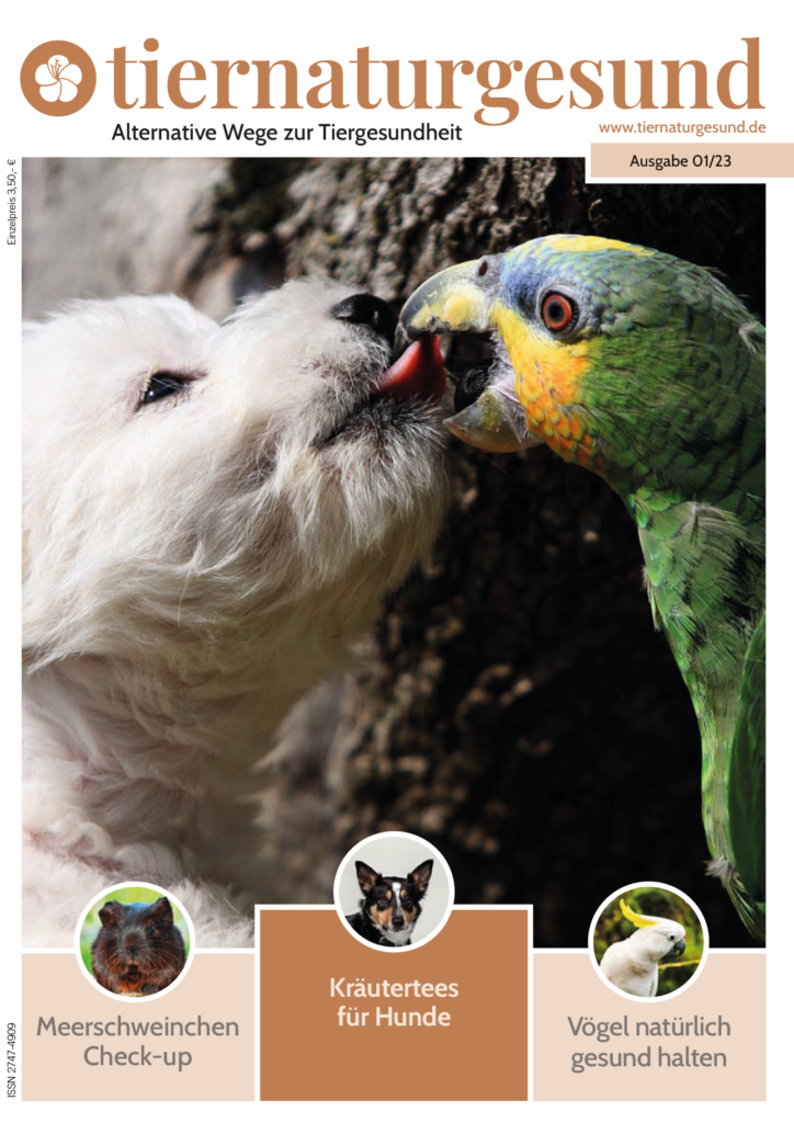 Cover Printmagazin 01/23