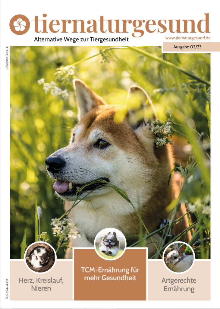 Cover 02/23