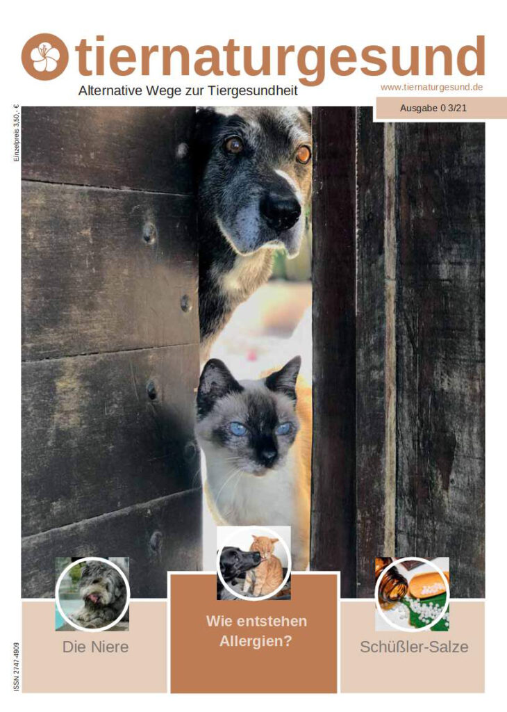 Cover Printmagazin 03/21