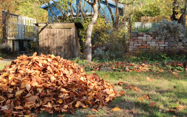 Herbstlicher Garten mit Laubhaufen. ©NABU/Eric Neuling