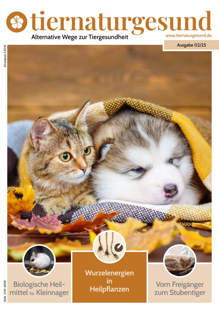 Titel Ausgabe 2/25 Katze und Hund gemeinsam unter einer Decke, davor herbstliches Laub